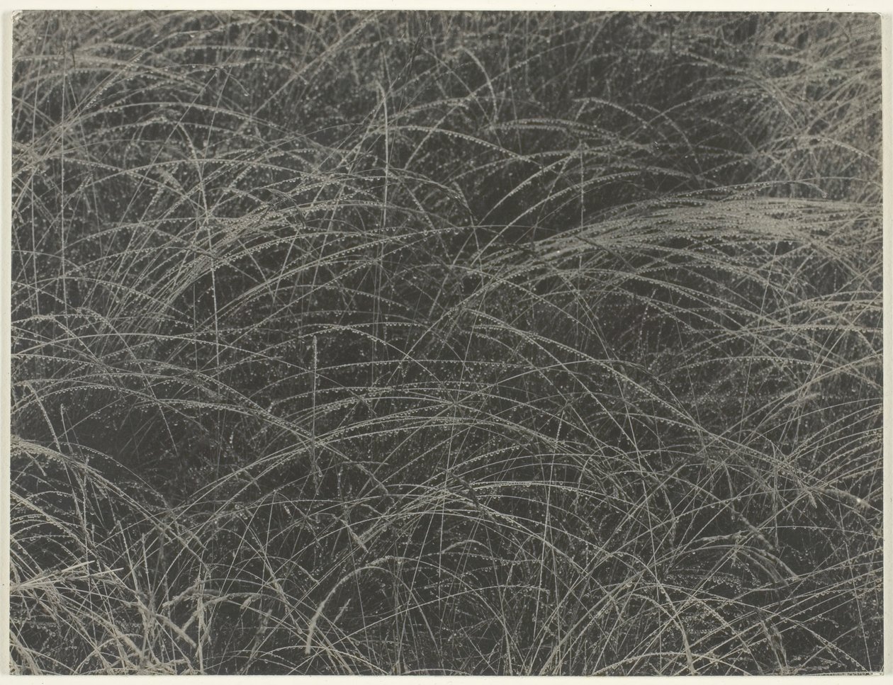 Motsvarande, 1927. av Alfred Stieglitz