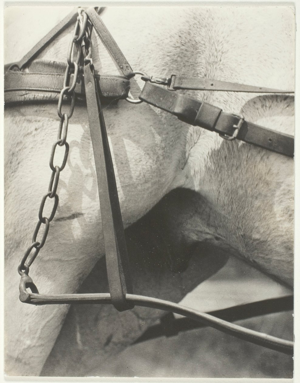 Motsvarande, Spiritual America av Alfred Stieglitz