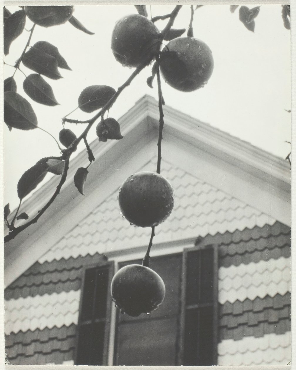 Gable and Apples, 1922. av Alfred Stieglitz