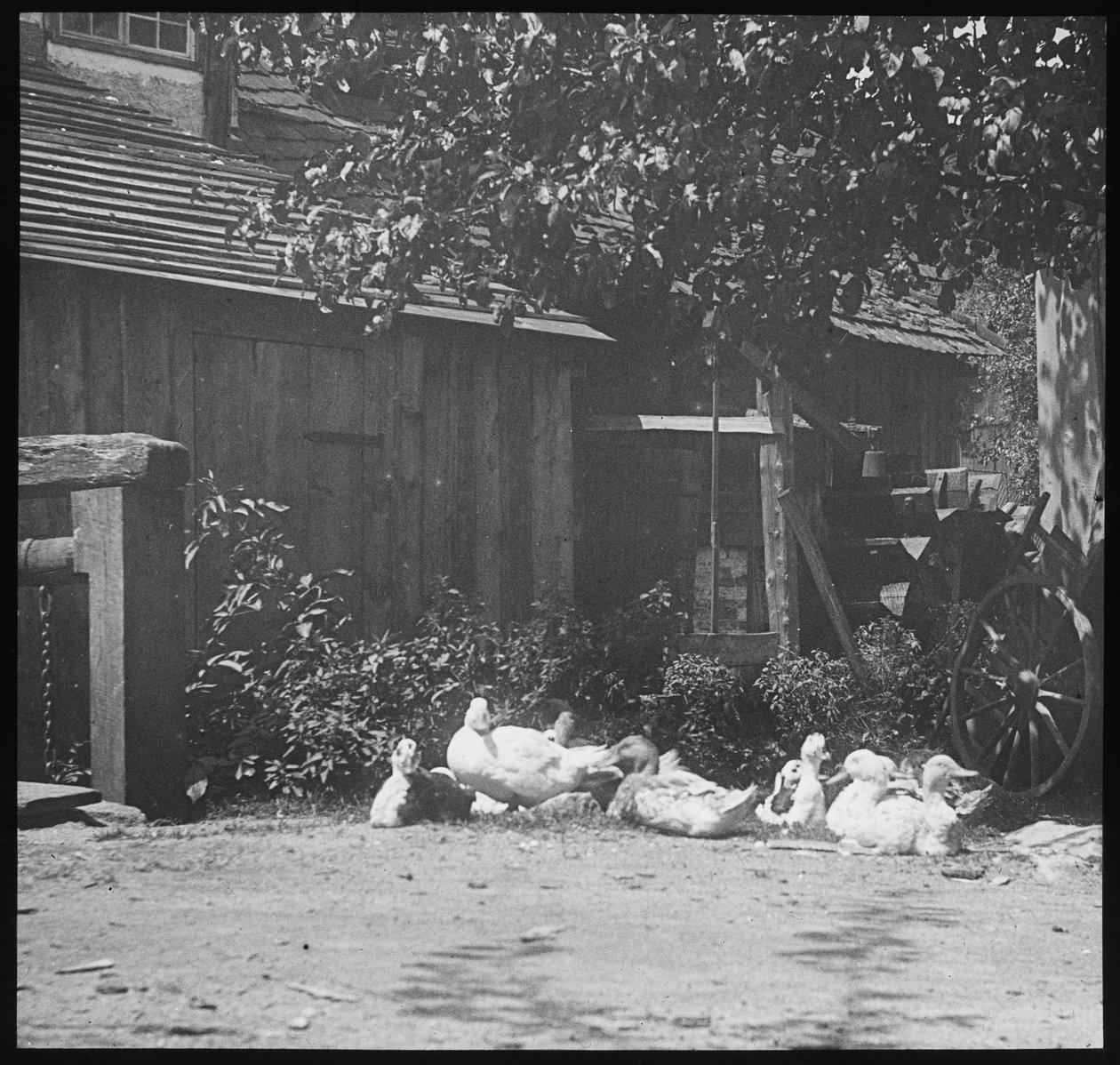 värdering av Alfred Stieglitz
