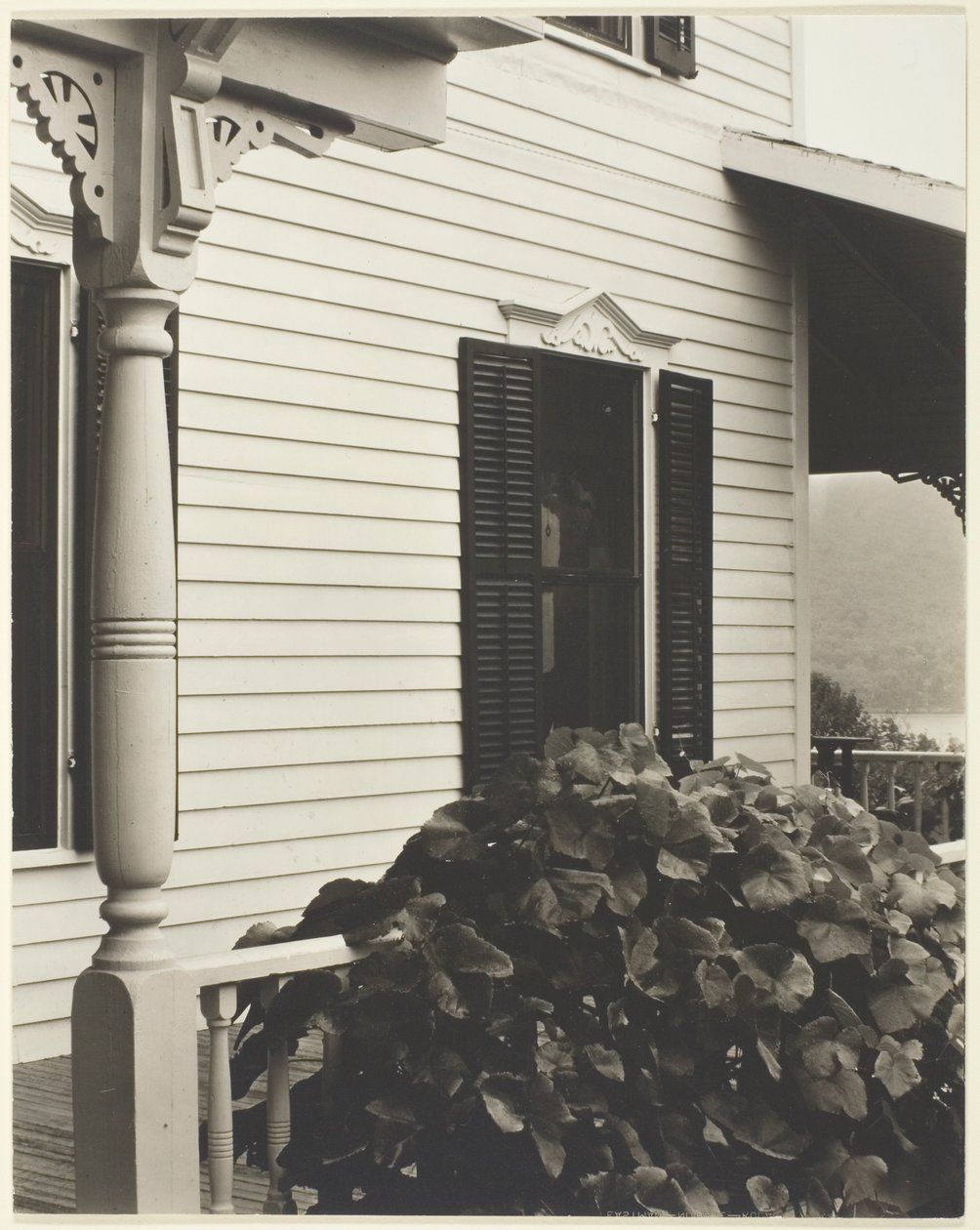 Hus och druvblad av Alfred Stieglitz