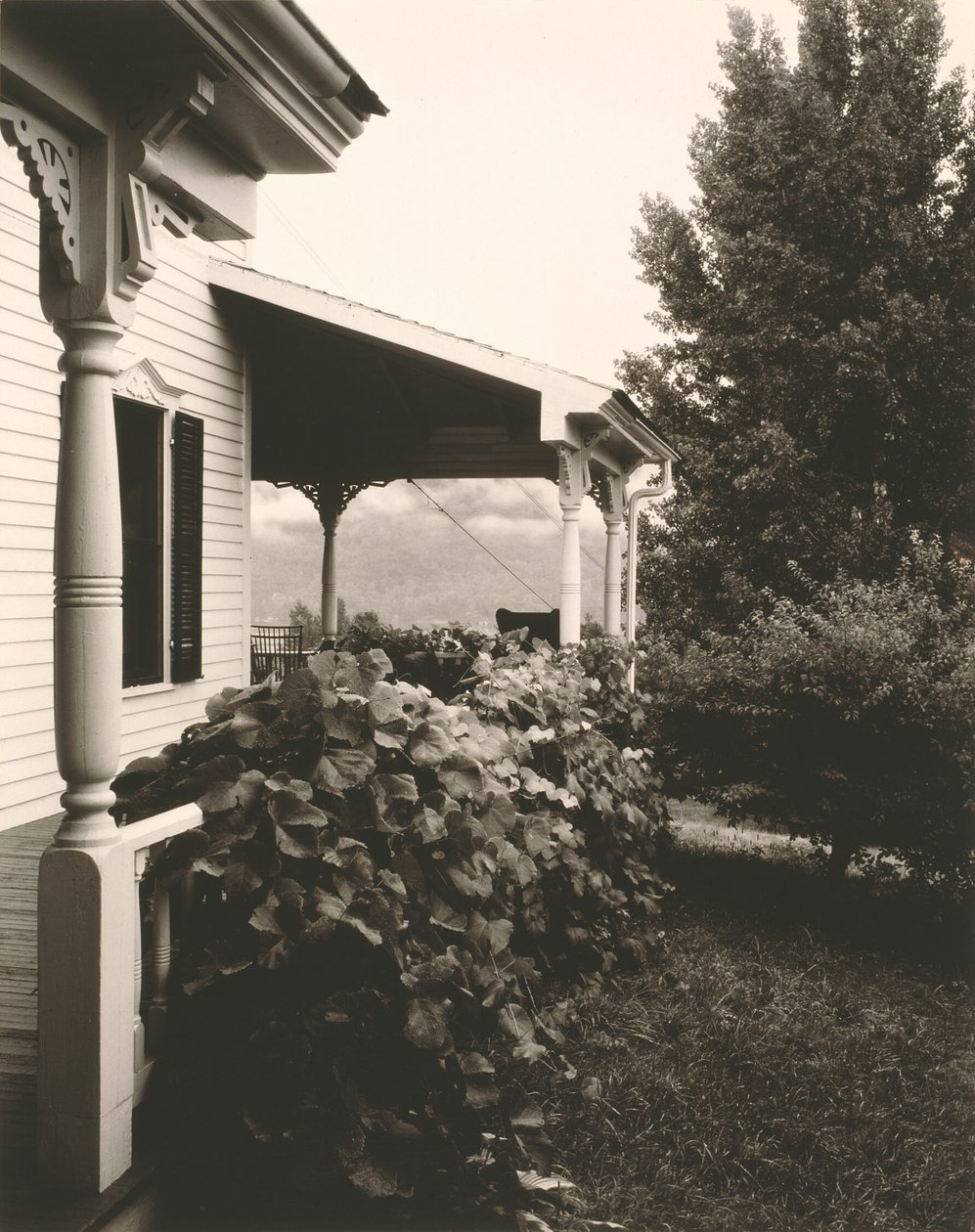 Hus och druvblad av Alfred Stieglitz