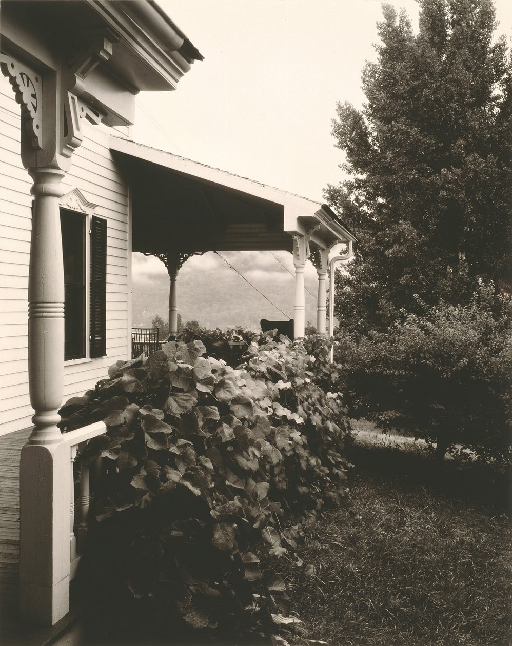 Hus och druvblad, 1934. av Alfred Stieglitz