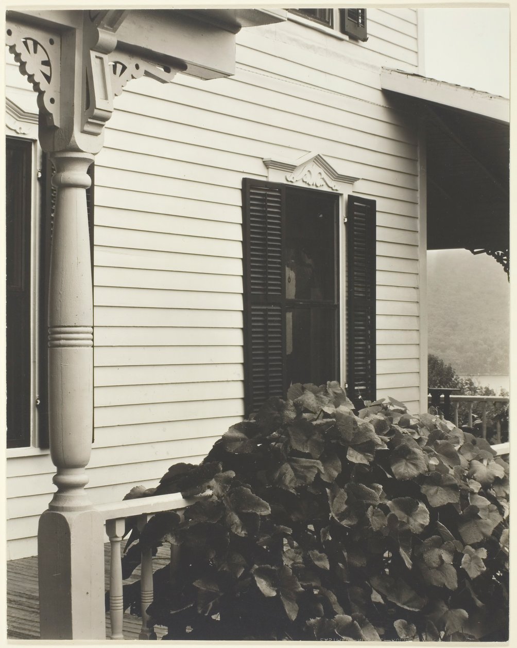 Hus och druvblad, 1934. av Alfred Stieglitz