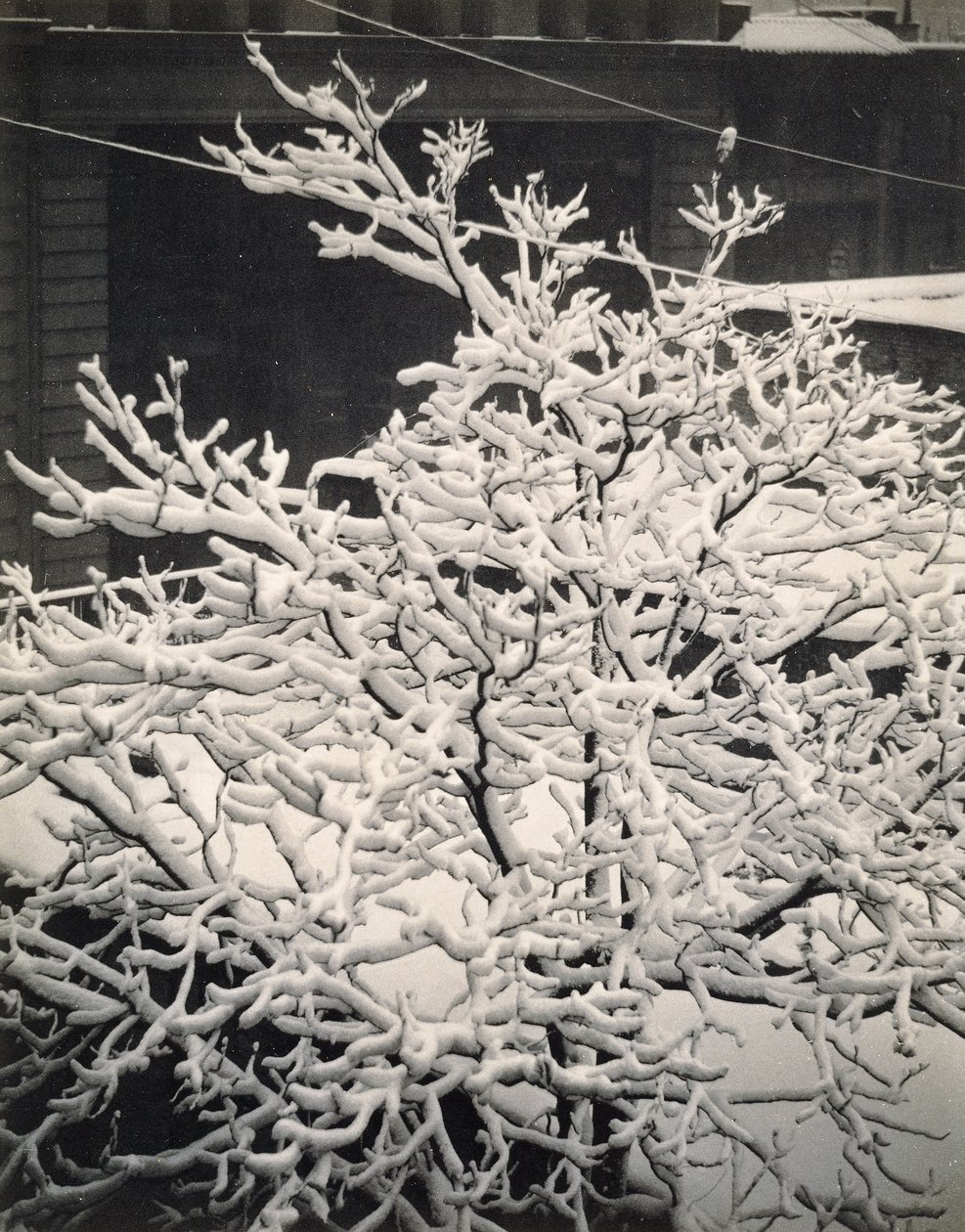 Utanför fönstret - 291 - N.Y. av Alfred Stieglitz