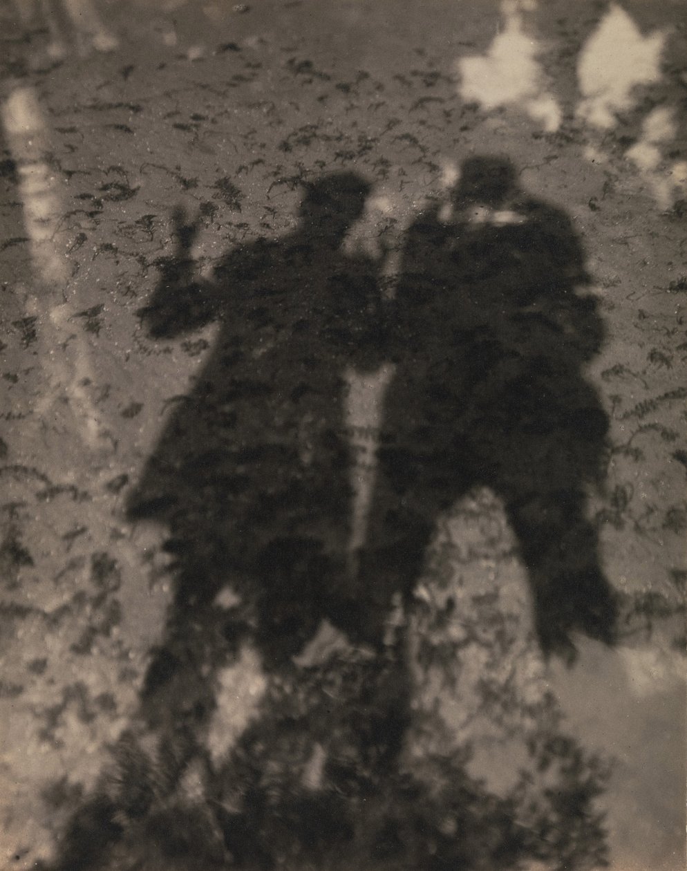 Skuggor i sjön av Alfred Stieglitz