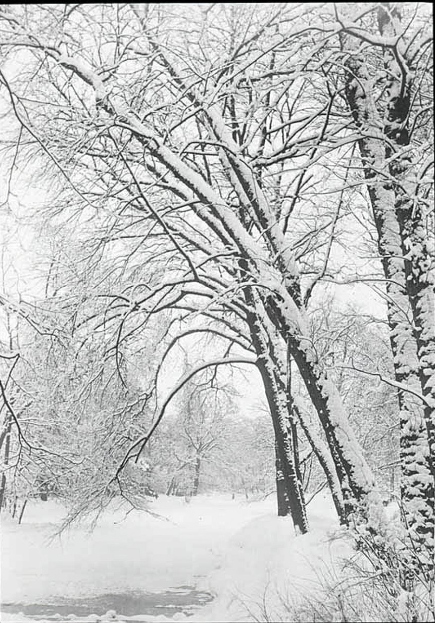 Snowscape, Berlin, 188892. av Alfred Stieglitz