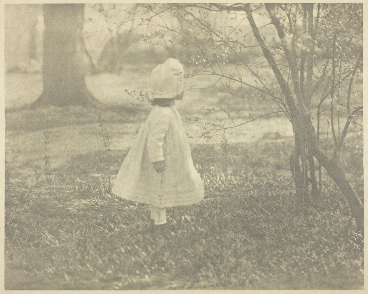 Våren - barnet, 1901. av Alfred Stieglitz