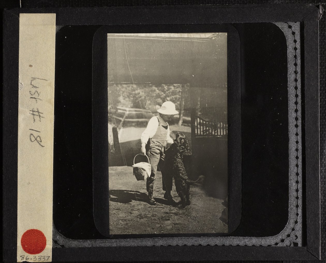 Utan titel (systerdottern Elizabeth med "Inky" på Oaklawn) av Alfred Stieglitz