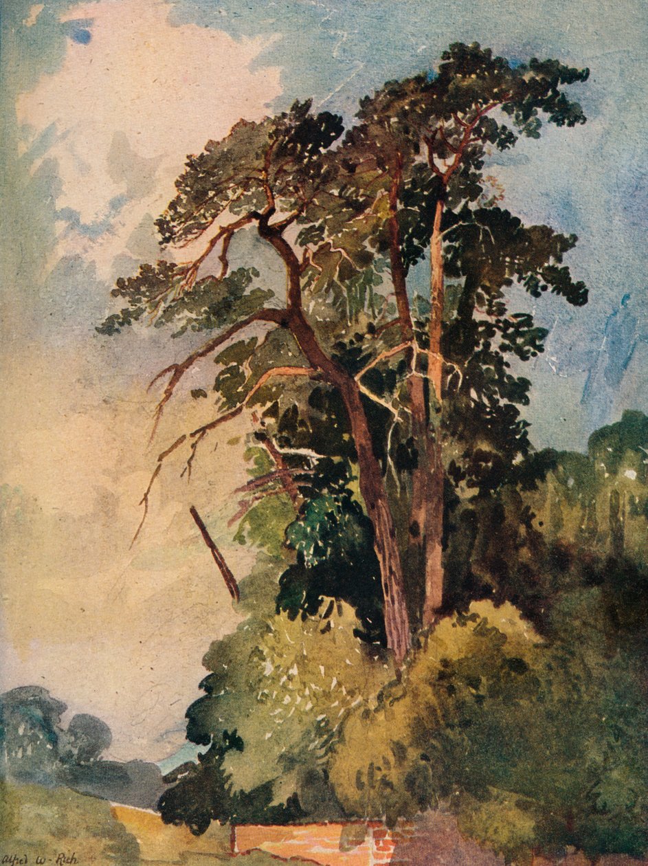 Study of Trees, c1880 av Alfred William Rich