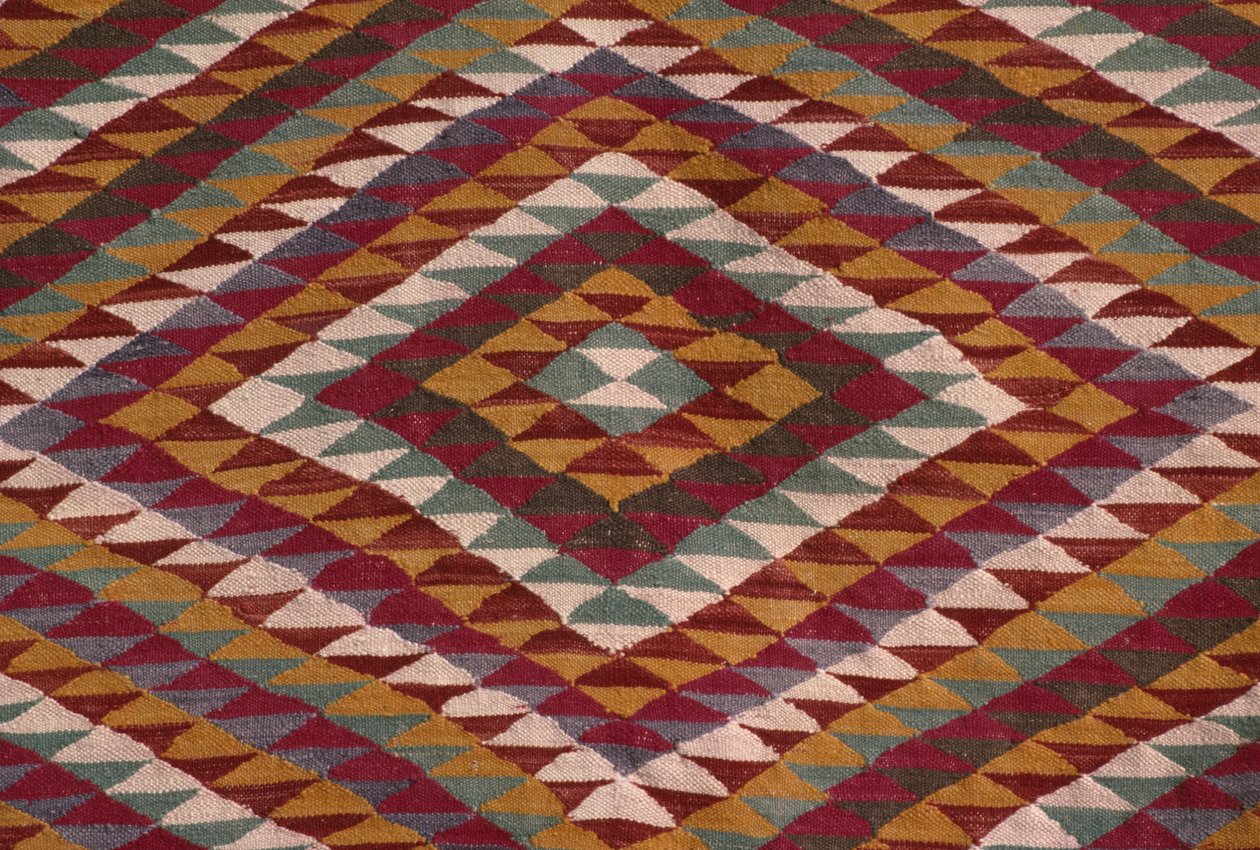 Matta från Mzab-dalen (ull) (detalj) av Algerian School