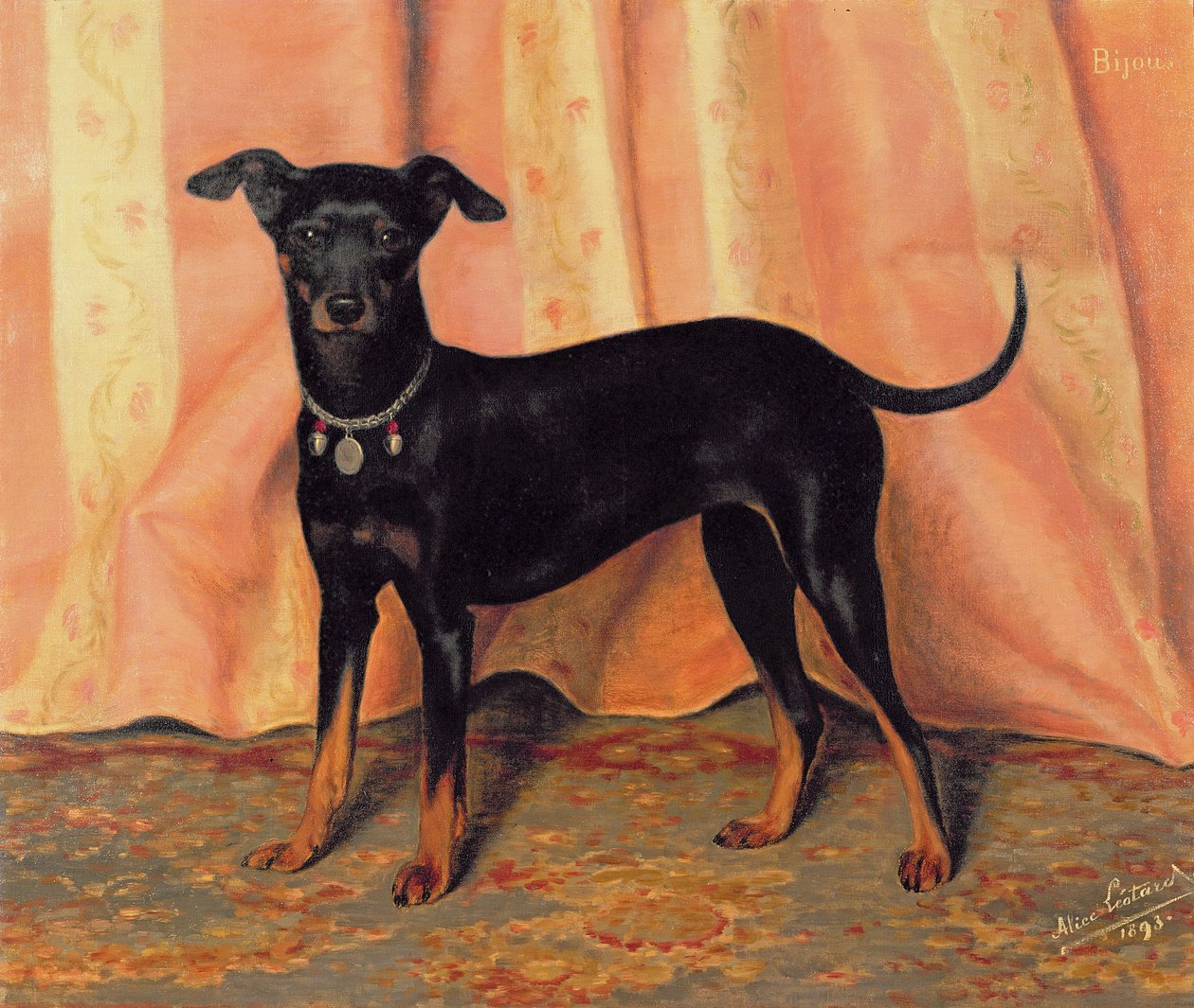 Studie av Bijou, en Bichon Terrier, 1893 av Alice Leotard