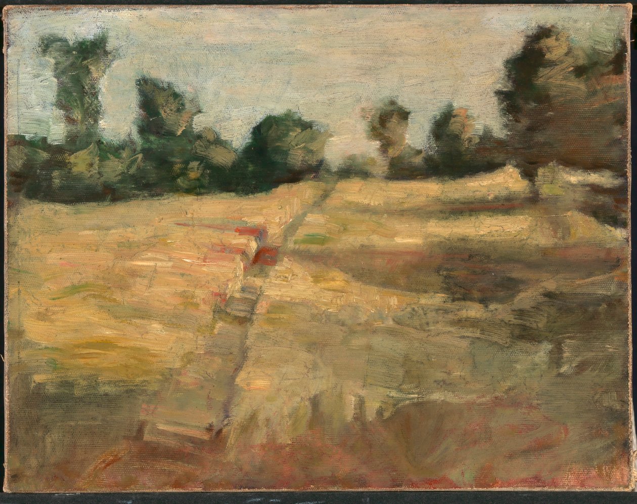 Fältet av Alice Pike Barney