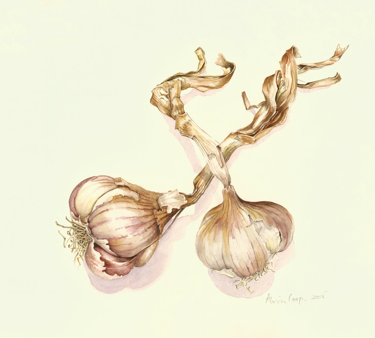 Vitlökslökar, 2005 av Alison Cooper