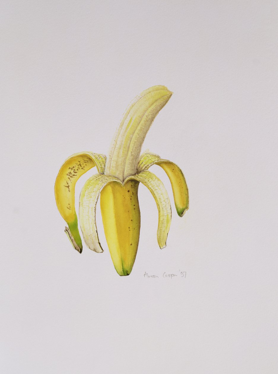 En halvskalad banan, 1997 av Alison Cooper
