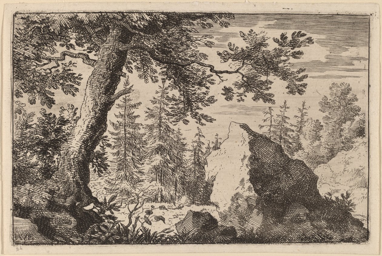 Boulder i skogen av Allart van Everdingen