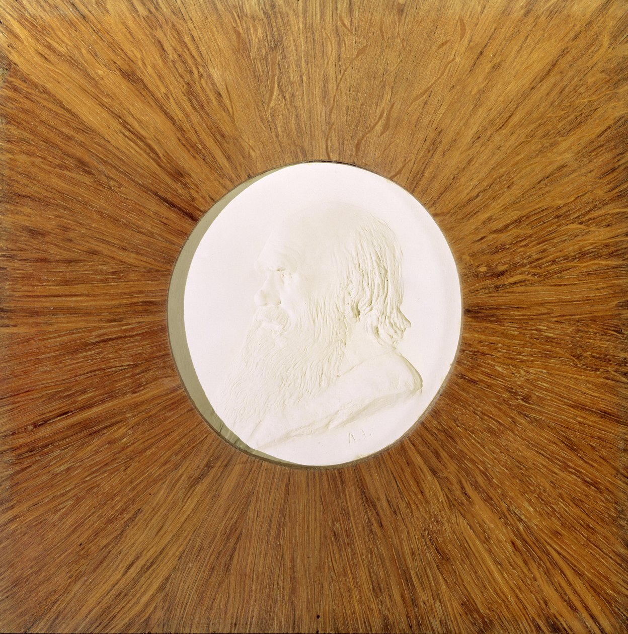 Charles Darwin (1809-82) ca 1881 (basrelief i gips) av Alphonse Legros