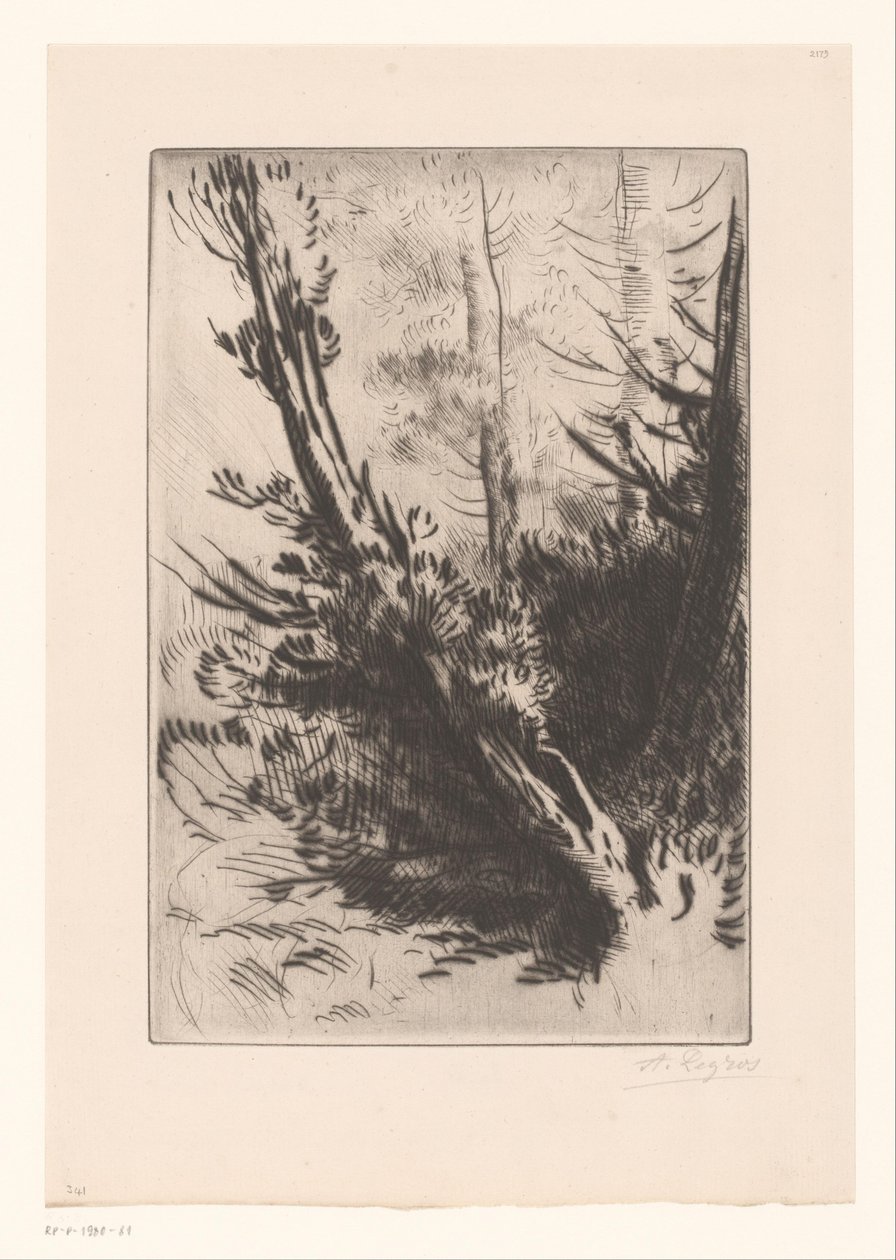 träd av Alphonse Legros (signed by artist)