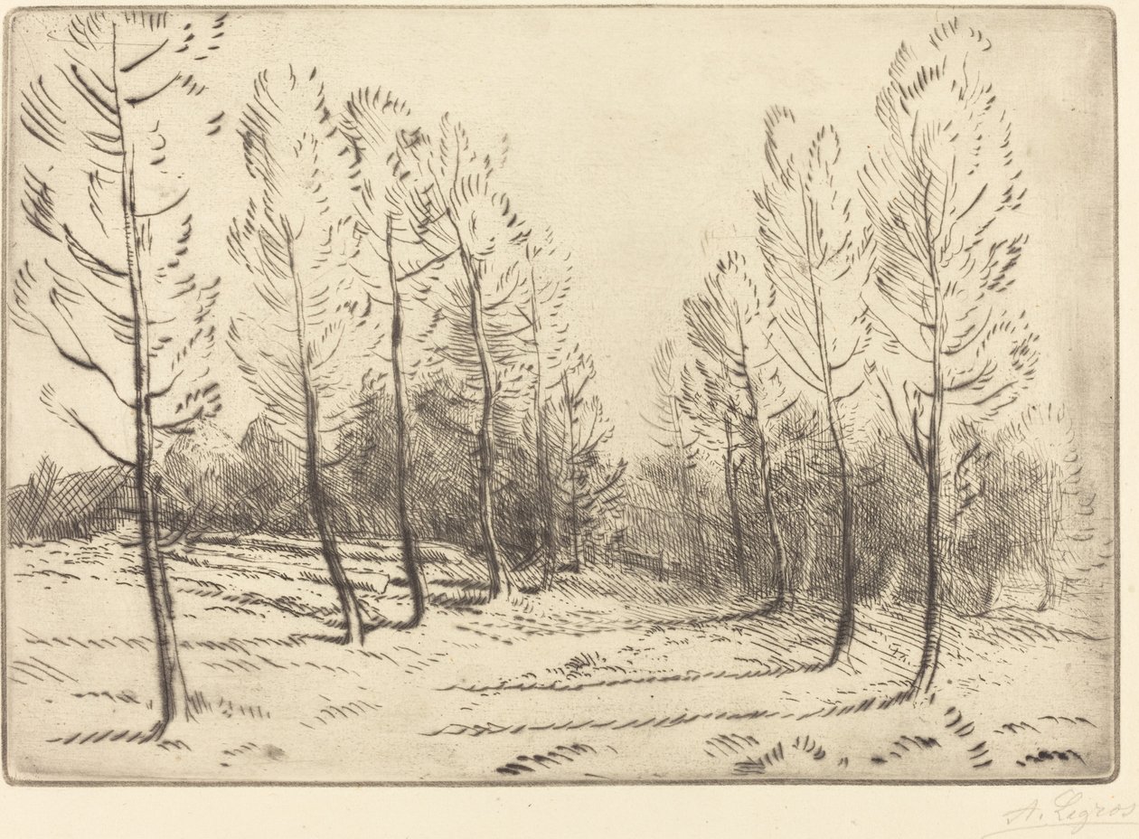 Avenue of Poplars av Alphonse Legros