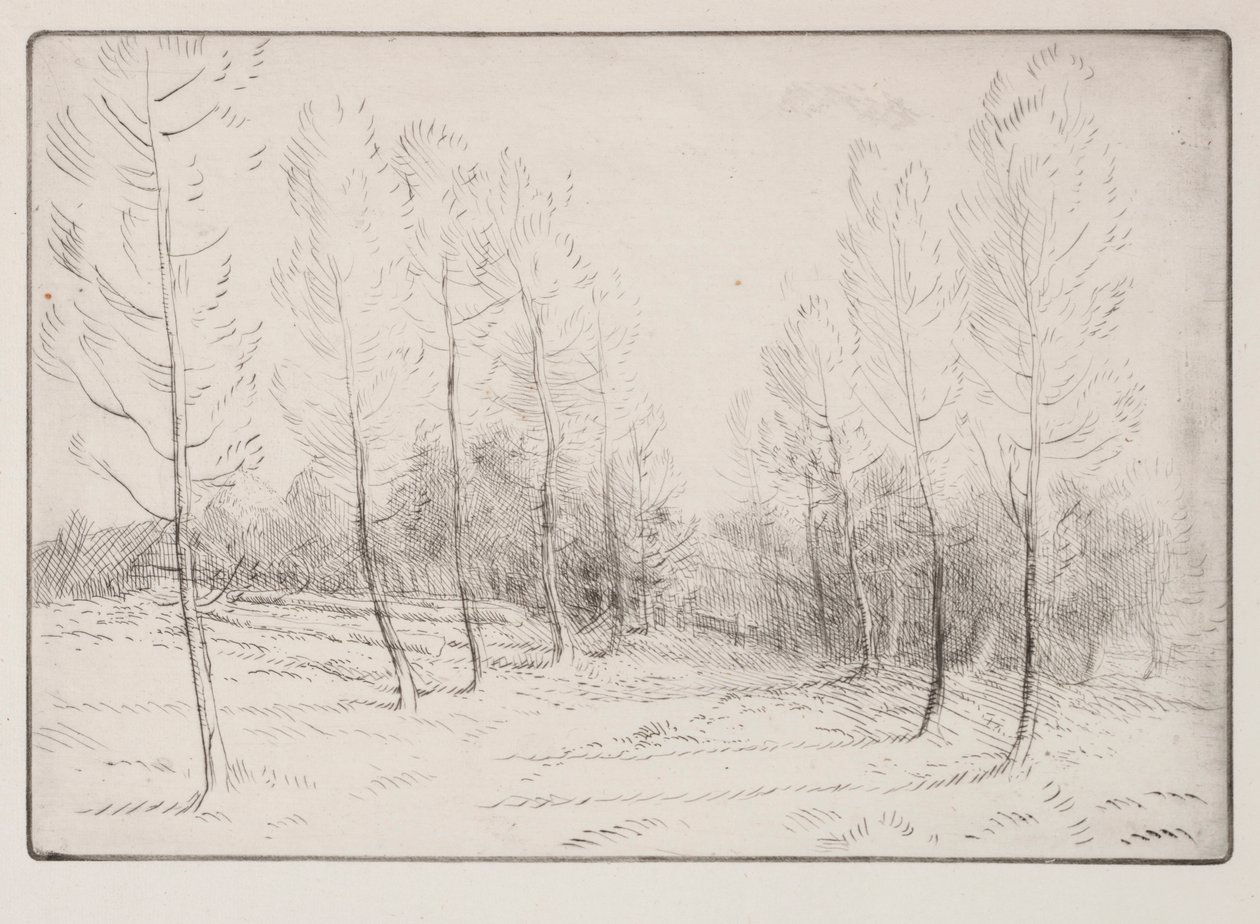 Avenue of Poplars. av Alphonse Legros