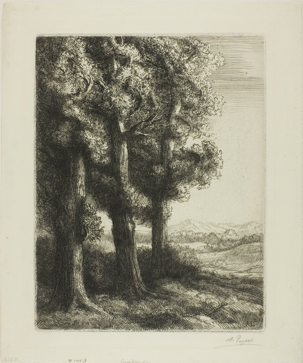 Edge of a Wood av Alphonse Legros