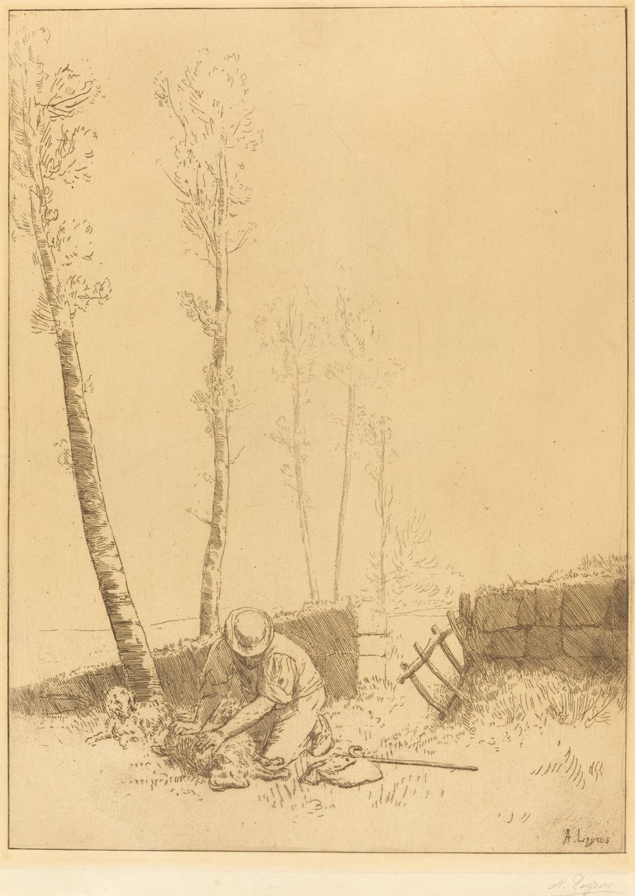 Hitta fåren (Le Mouton retrouve) av Alphonse Legros