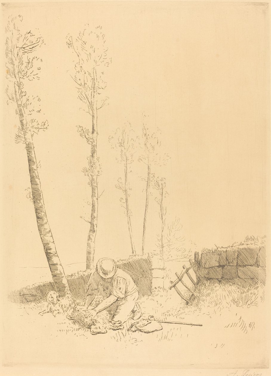 Hitta fåret Le Mouton retrouve. av Alphonse Legros