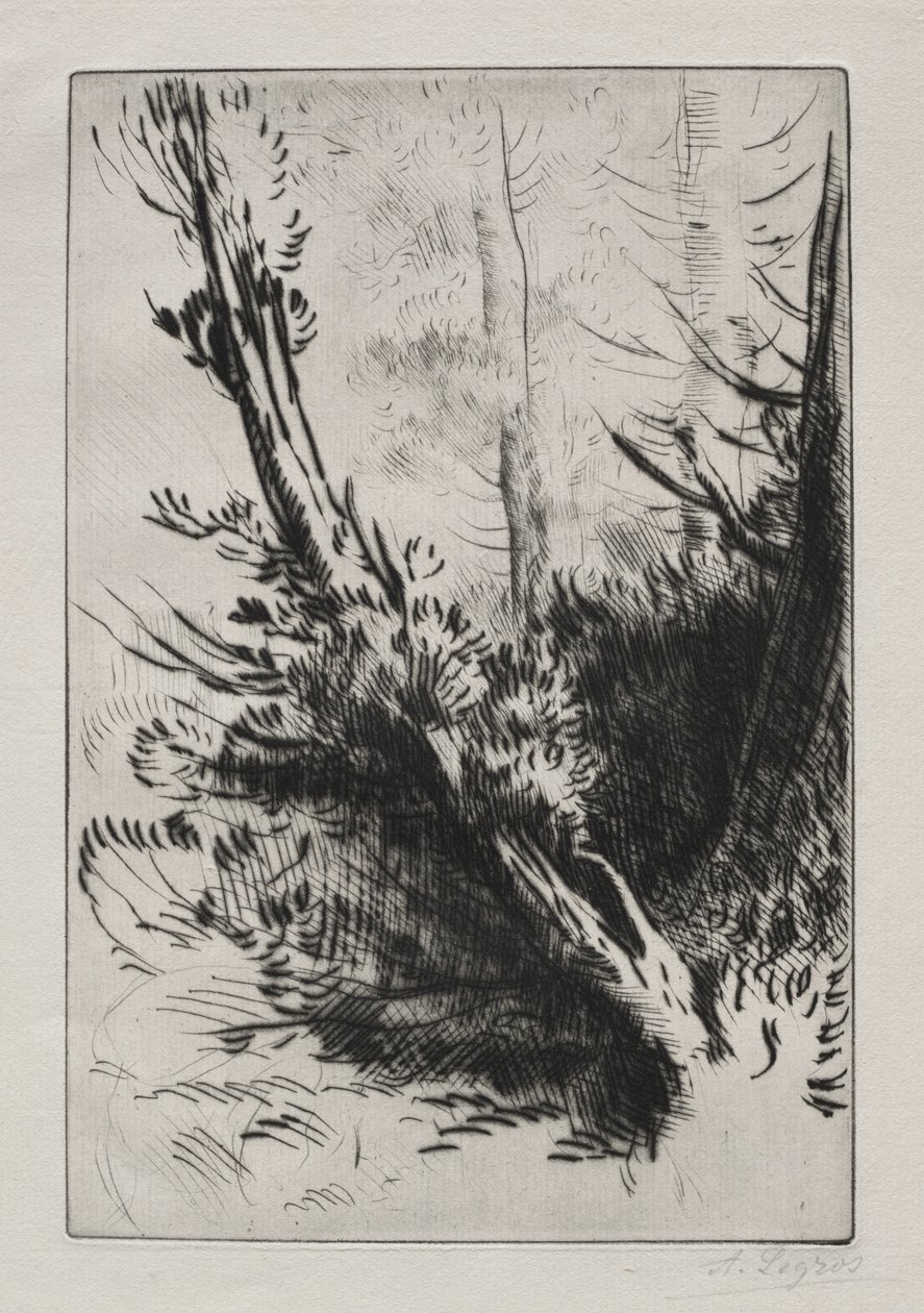 I skogen av Alphonse Legros
