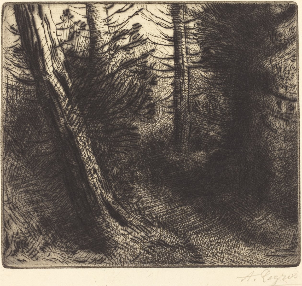 Vägen genom skogen av Alphonse Legros