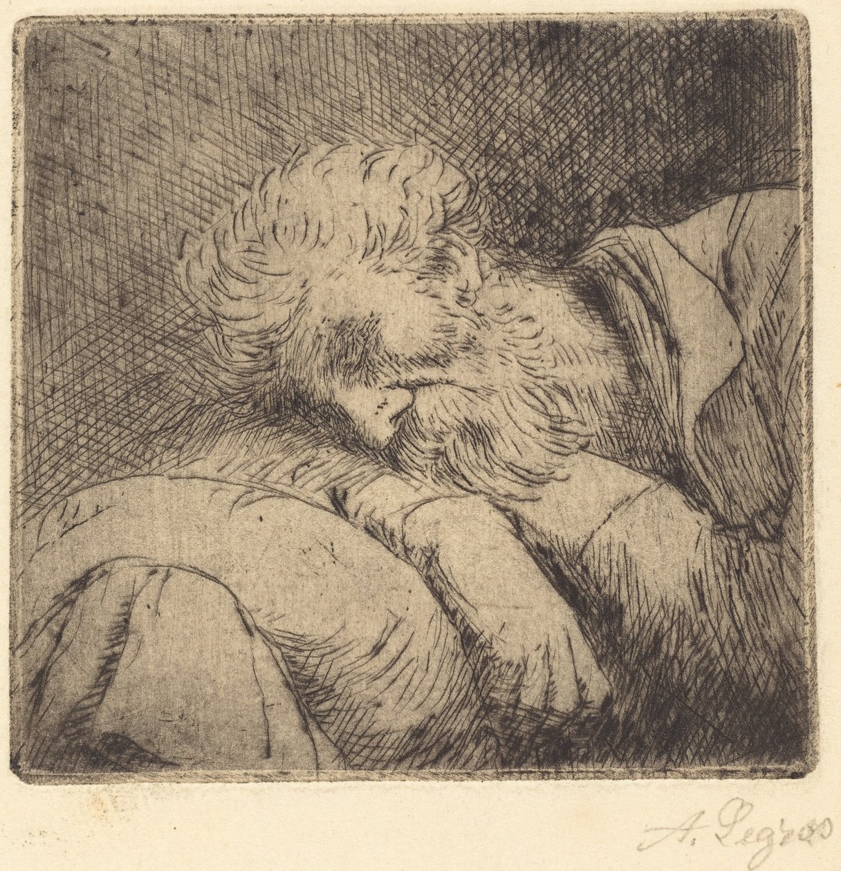 Sova tiggare Sova tiggare. av Alphonse Legros