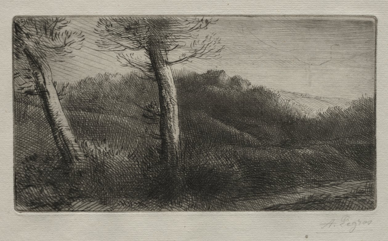 Resenären sträckte ut sig på gräset av Alphonse Legros