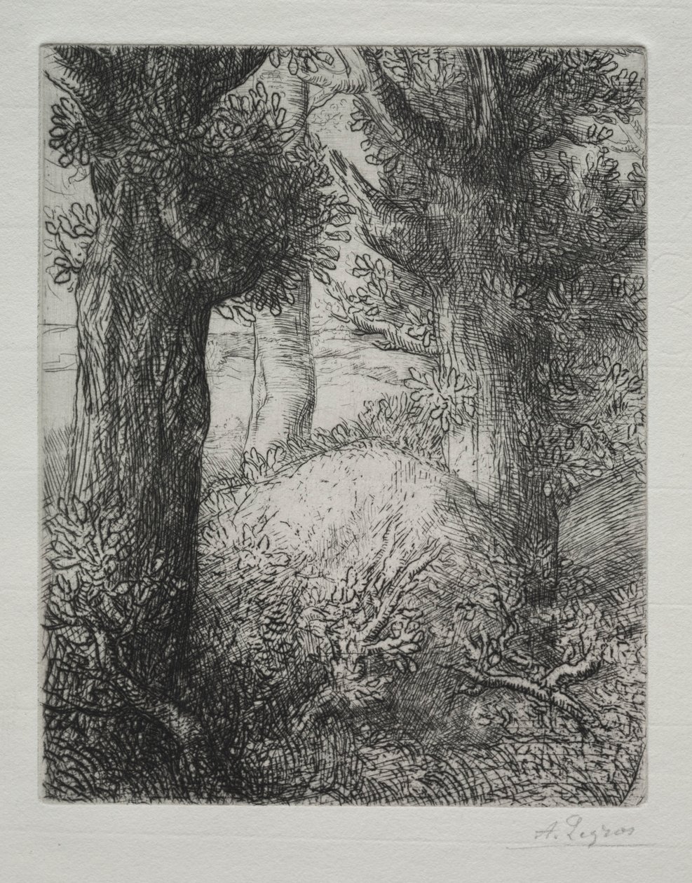 Galliska gravhögar. av Alphonse Legros