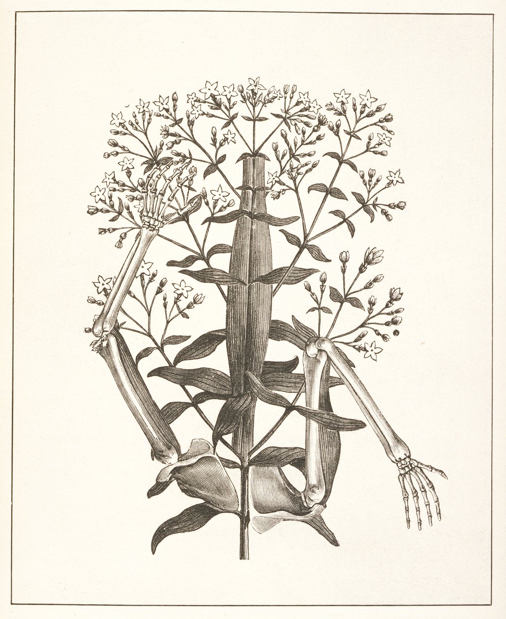 Illustration från 