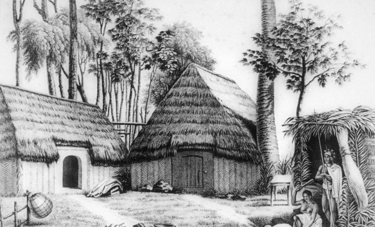 Hövdingens hus, Kalaimoku, 1819. av Alphonse Pellion