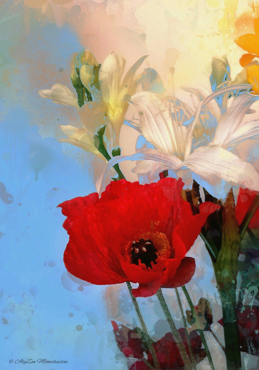 Poppy on blue, 2014, (digital mixed media phoneography) av AlyZen Moonshadow