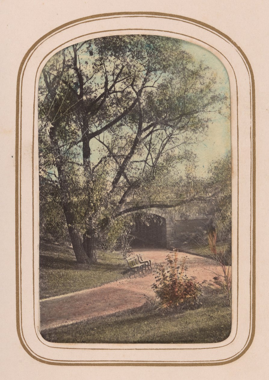 Carte-de-visite Album of Central Park Views, 1860-talet. av Ambrose Jackson