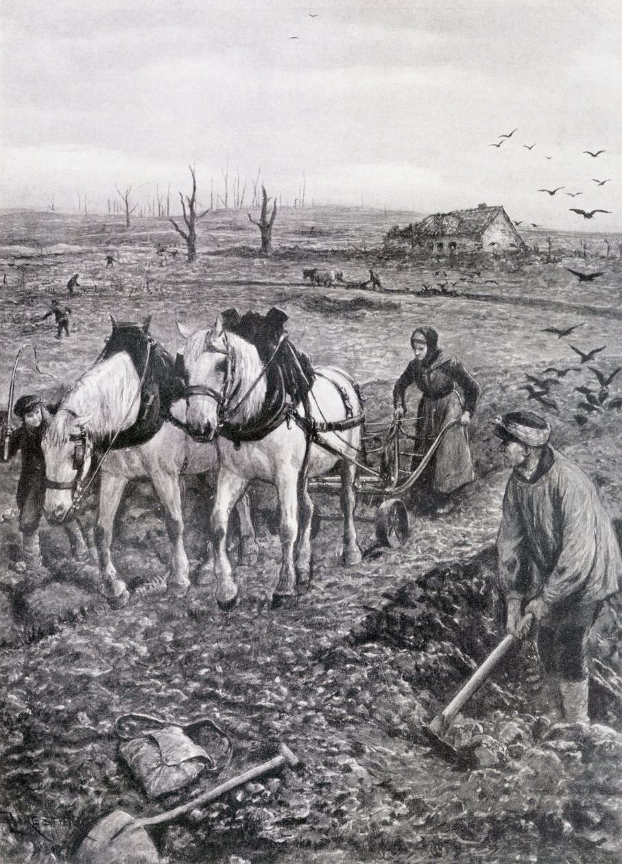 Farmers working Ruined Fields, 1918 (halvtonspapper) av Amedee Forestier