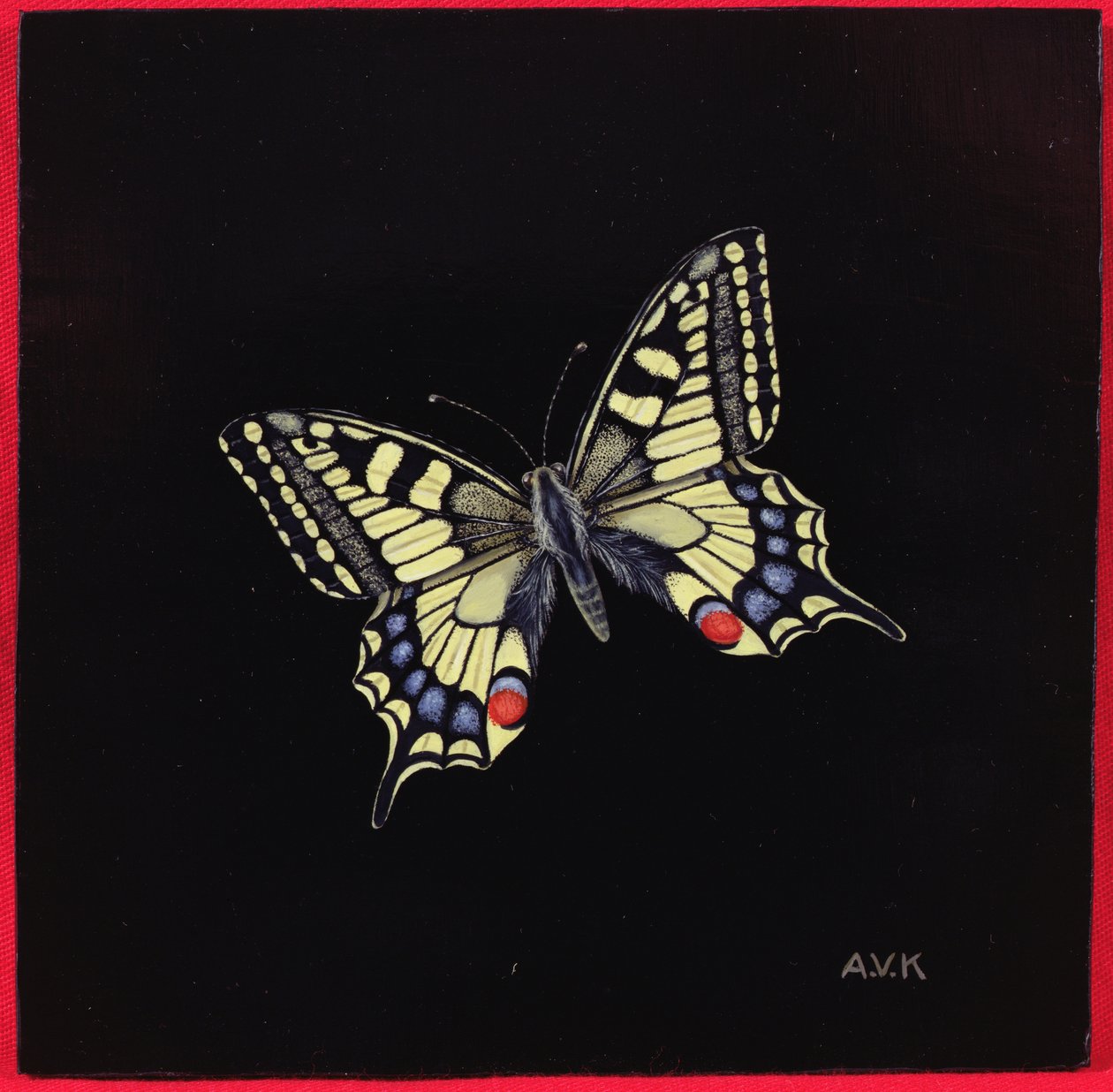 Swallowtail fjäril, 1999 av Amelia Kleiser