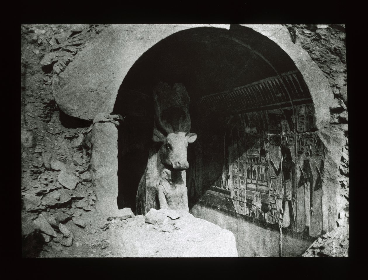 Hathor-ko i en helgedom från 18:e dynastin, Deir El-Bahri (lanternrutschbana) av American Photographer