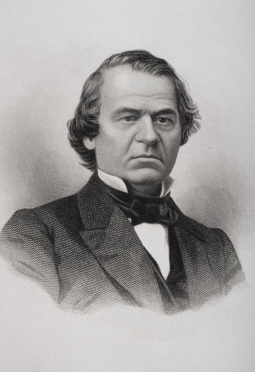 Porträtt av Andrew Johnson (1808-75) av American School