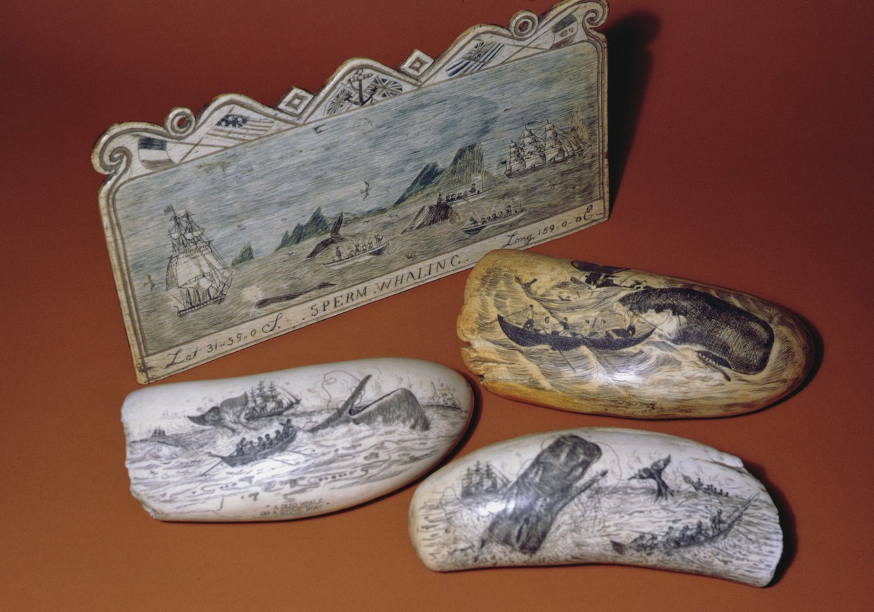 Whaling scrimshaw (tand) av American School