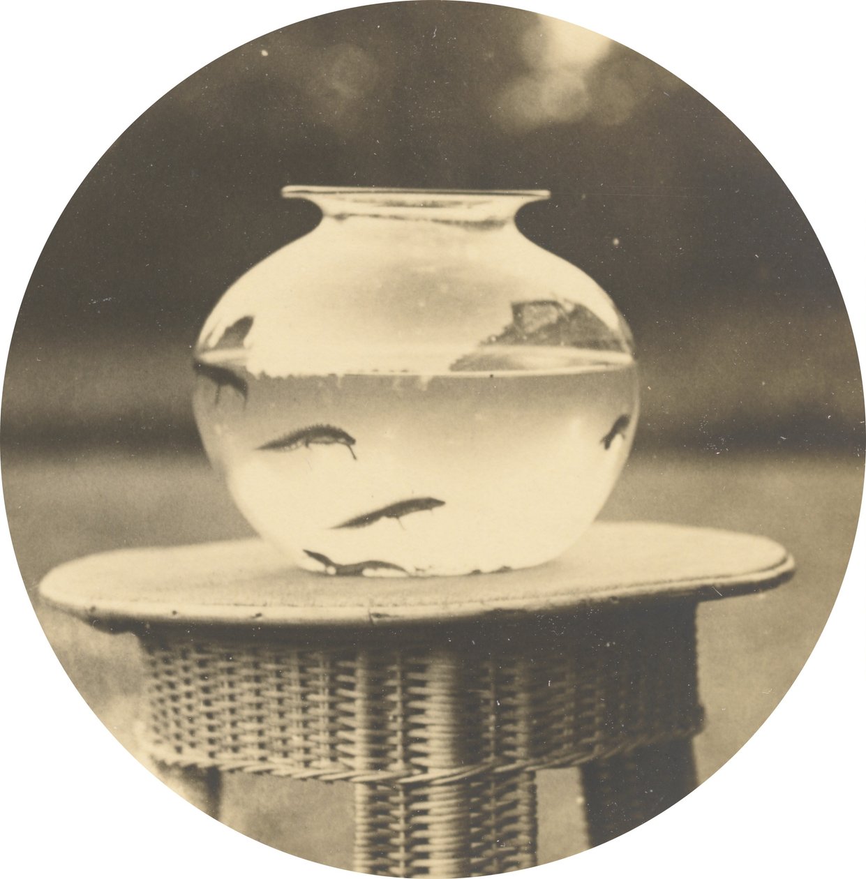 Namnlös (Fishbowl) av American 19th Century