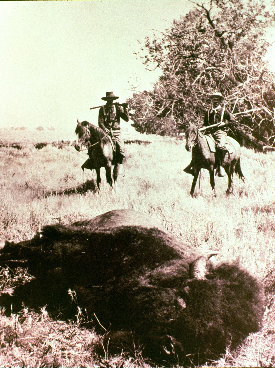 Amerikanska bisonjägare av American Photographer