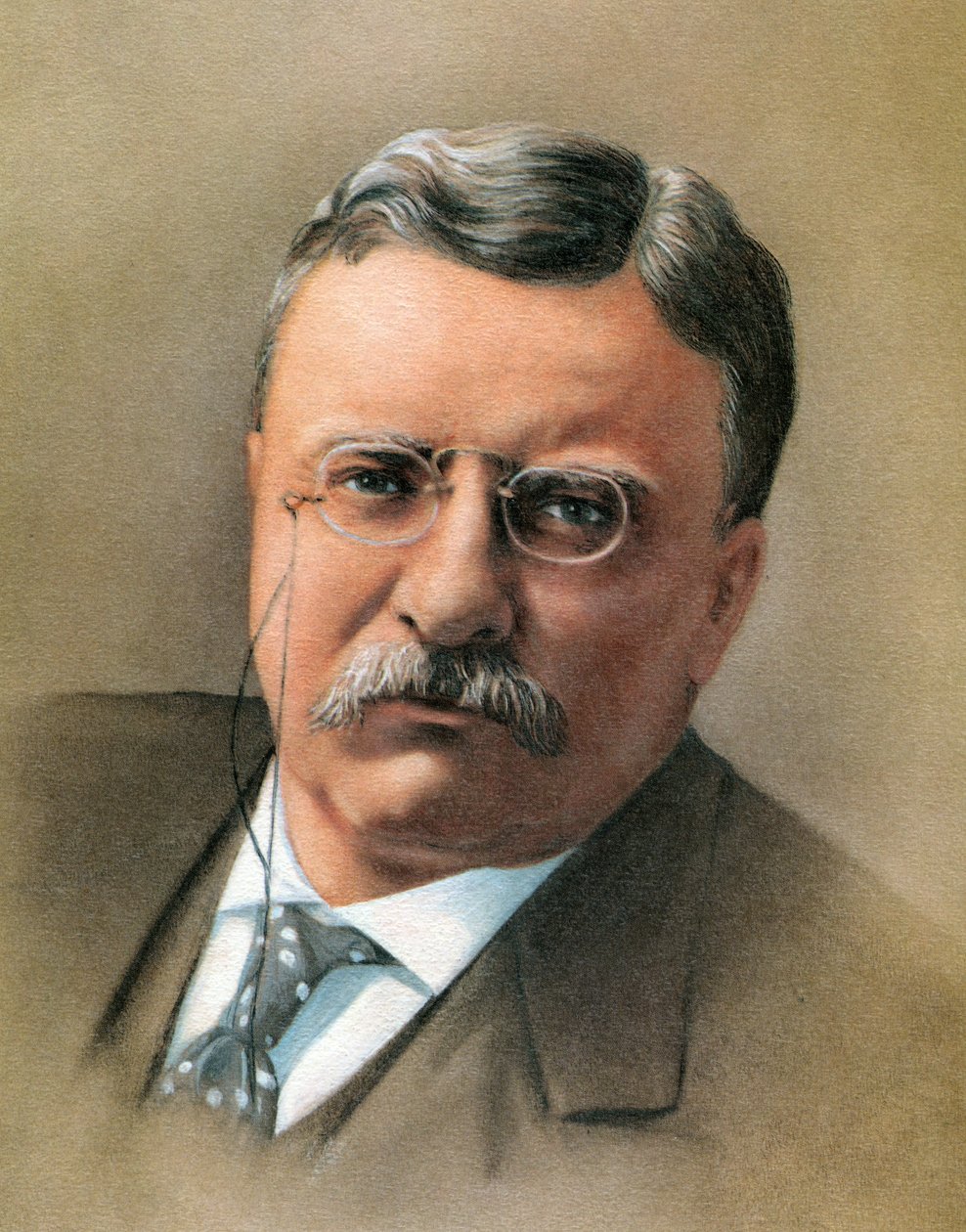 Theodore Roosevelt av American School