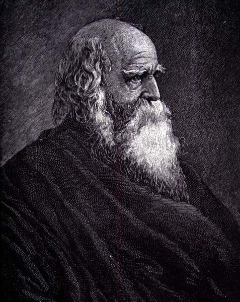 William Cullen Bryant (gravyr) av American School