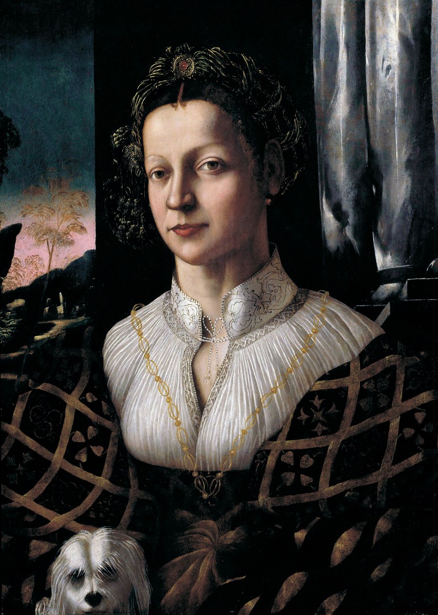 Ung kvinna med valphund av Amico Friuliano del Dosso