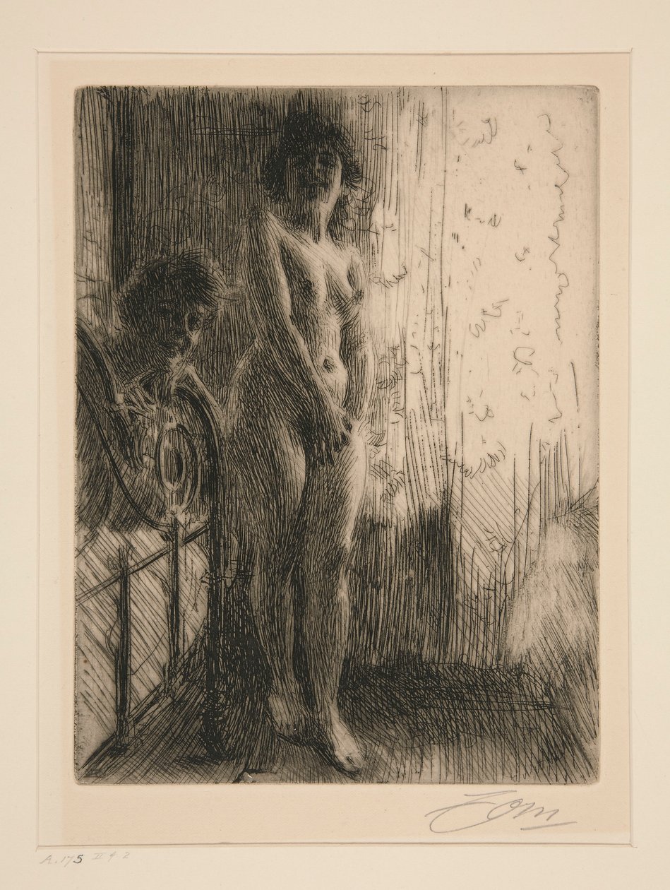 Ett mörkt hörn av Anders Leonard Zorn