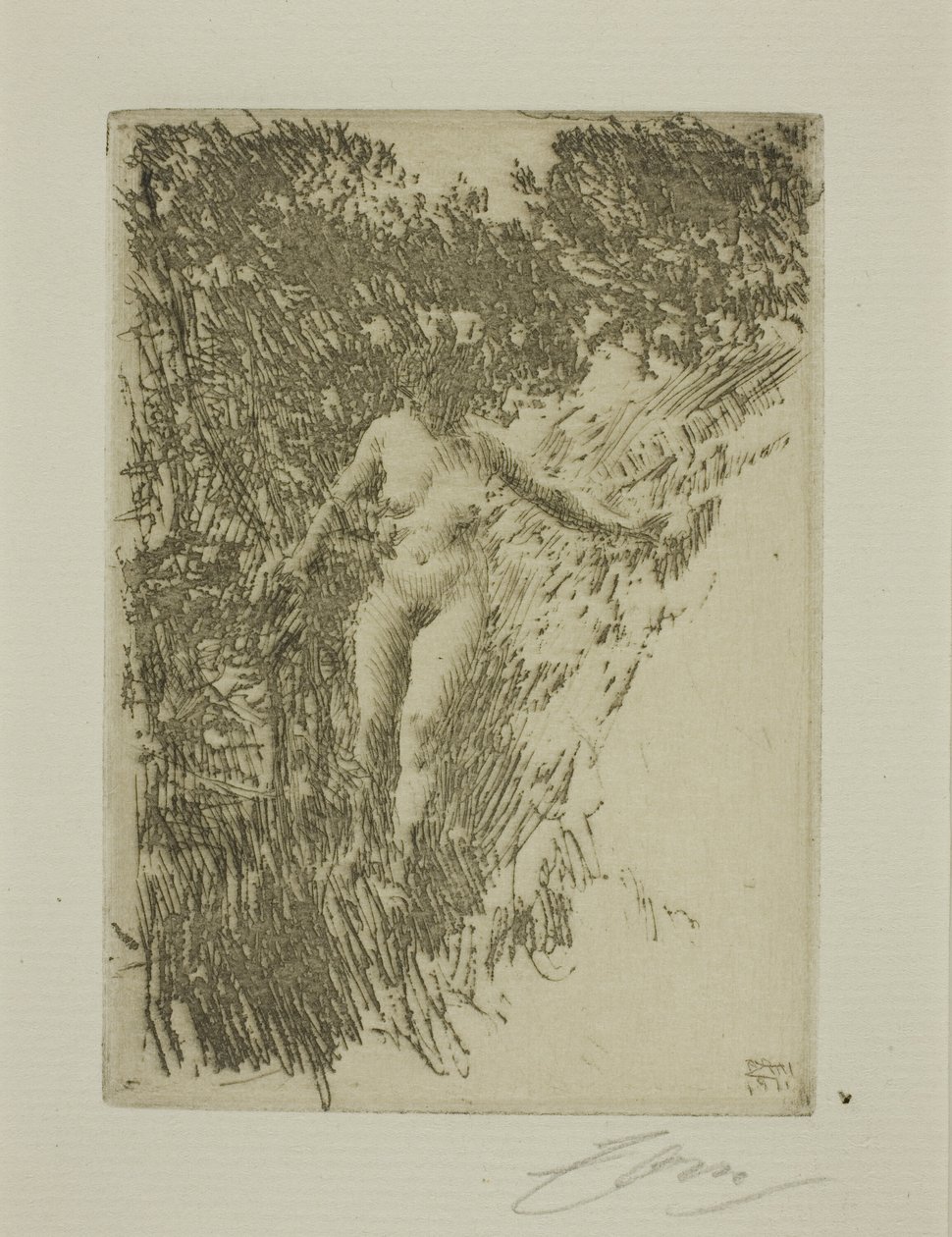 Småskog av Anders Leonard Zorn