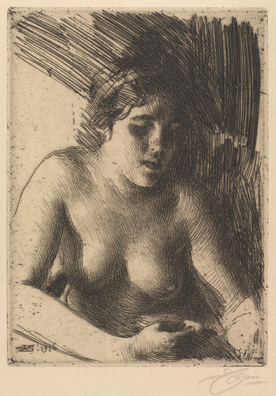 Sätta dit av Anders Leonard Zorn