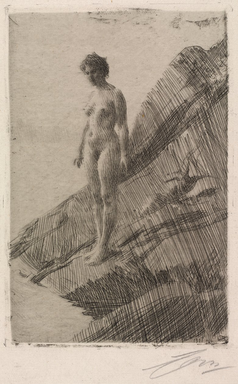 Detta är det av Anders Leonard Zorn